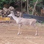 Profile Picture of Tony Messer (@tonymesser86) on Instagram