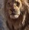 Profile Picture of Jacob Starkey (@jacob.starkey.52090) on Facebook