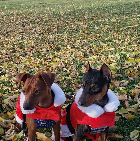 Profile Picture of Liliya Biddlecomb (@lbiddlecomb) on Poshmark