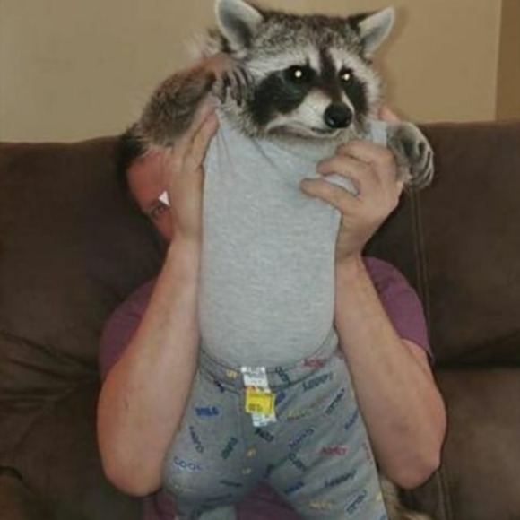 Profile Picture of Kate Chaney (@kvltrat) on Poshmark