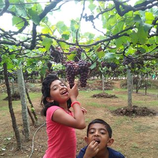 Profile Picture of Joseph Elavumkal Achen (@josephelavumkal.achen) on Facebook