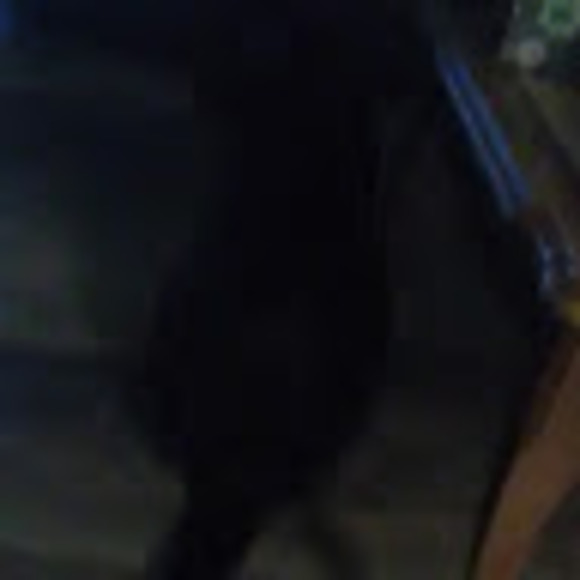 Profile Picture of Naomi Isgrig (@foxmoon1212) on Poshmark