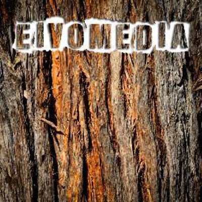 Profile Picture of John Colthorpe (@EIVOMEDIA) on Twitter