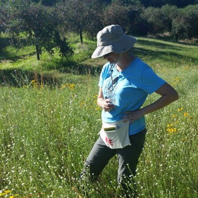 Profile Picture of Julianna Wilson (@ukulelebee) on Twitter