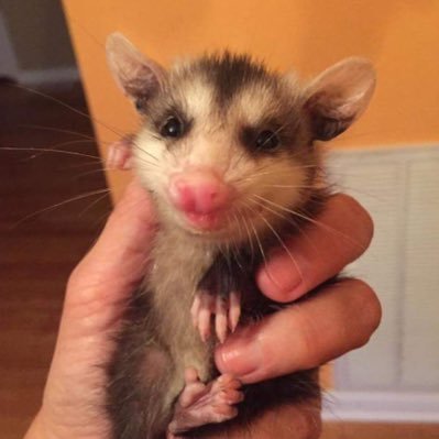 Profile Picture of Michael Jefferies (@mjefferies01) on Twitter