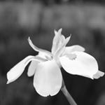 Profile Picture of Barbara Guerrero (@fotografia.barb) on Instagram