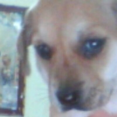 Profile Picture of Hugo Quevedo (@hugoquevedo77) on Twitter