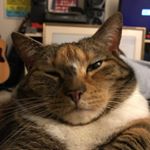 Profile Picture of Jake Robbins (@big_bellie_comics) on Instagram