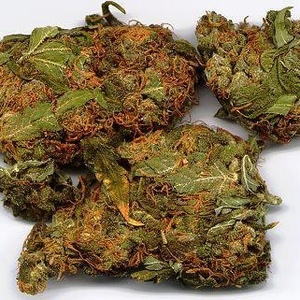 Profile Picture of Coventry, Norton, Akron Scott (@360100319) on Myspace