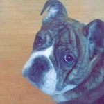 Profile Picture of David Bracken (@david.bracken.378199) on Instagram