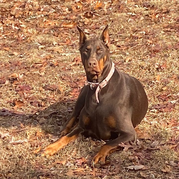 Profile Picture of steveelswick657 (@steveelswick657) on Tiktok