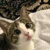 Profile Picture of debisimeon (@@debisimeon) on Tiktok