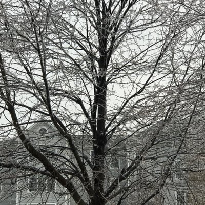 Profile Picture of Kyle Schramm (@ItsTrue315) on Twitter