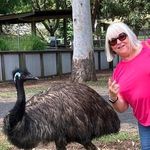 Profile Picture of Dawn Higgins (@dawnhiggins3) on Instagram