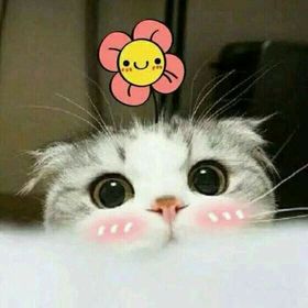 Profile Picture of Trieuvi (@dochoitreem08) on Pinterest