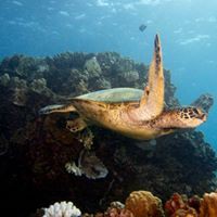 Profile Picture of Val Schmidt (@val-schmidt-7) on Quora