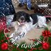 Profile Picture of Joyce Ramey (@joyce.ramey.52) on Facebook