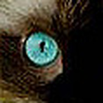 Profile Picture of Daves84 (@daves84) on Flickr