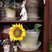 Profile Picture of Terrie D. Chisholm (@terriedchisholm) on Pinterest