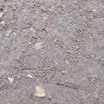 Profile Picture of Berta Aguilera (@berta.aguilera.411969) on Facebook