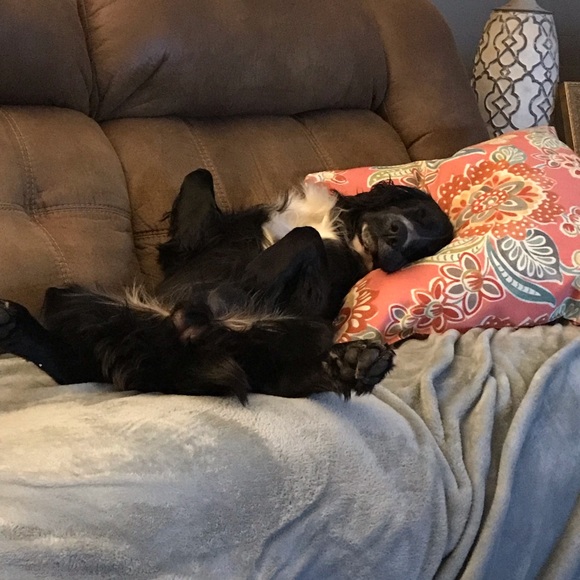 Profile Picture of Jeff Paramore (@flyntriver) on Poshmark