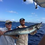 Profile Picture of Ed Howell (@leoedhowell) on Instagram