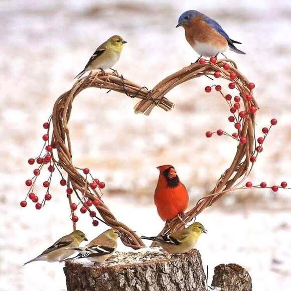 Profile Picture of Renae Wason (@rlw1966) on Poshmark