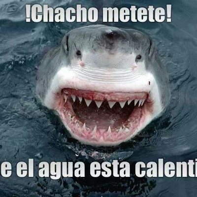 Guillermo Abellan - Twitter Profile Picture of Guillermo Abellan (@f1_Guillermo) on Twitter