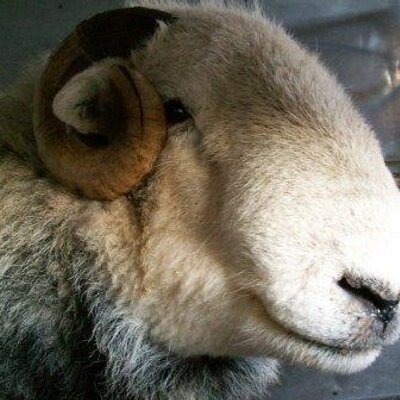 Profile Picture of Ian Waller (@IanWaller2) on Twitter