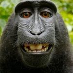 Profile Picture of Tom Schlitter (@tommylefou) on Instagram