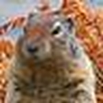 Profile Picture of Qian & Yu (@Qian & Yu) on Flickr