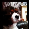 Profile Picture of Lucy Denton (@@patch2121) on Tiktok