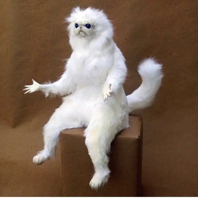 Bailey Cline - Twitter Profile Picture of Bailey Cline (@baileyyyclinee) on Twitter