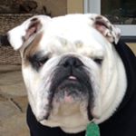 Profile Picture of Bubba Franks Waldenmeyer (@notorious_bubs) on Instagram