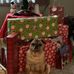 Profile Picture of Beverly Severance Colburn (Beverly Severance Colburn) (@beverly.colburn.71) on Facebook
