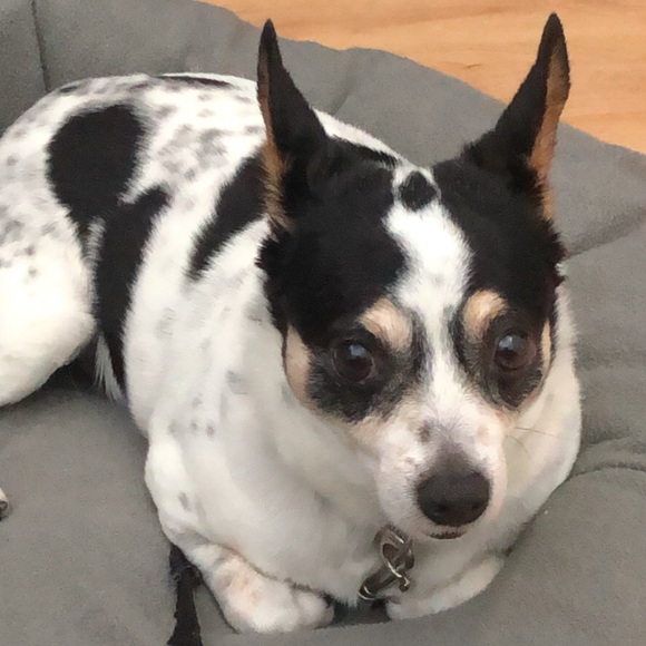 Cayla Bertelmann - Poshmark Profile Picture of Cayla Bertelmann (@caylab0902) on Poshmark