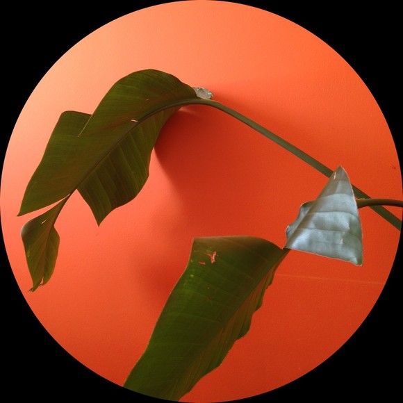 Profile Picture of J Edwards (@edwards2022) on Poshmark