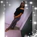 Profile Picture of Fabiola Arteaga Zelada (@fabiola.arteagazelada) on Facebook