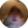 Profile Picture of Yeeting in Roblox (@@mikepowerrrrr) on Tiktok