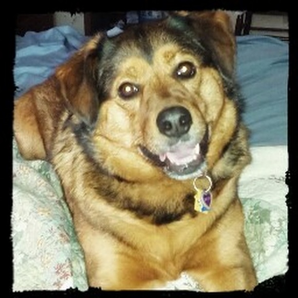 Profile Picture of Amanda Cornell (@amanda123mn) on Poshmark