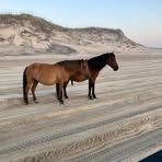 Profile Picture of Mary Frances Radolinski (@maryfrances.radolinski) on Facebook