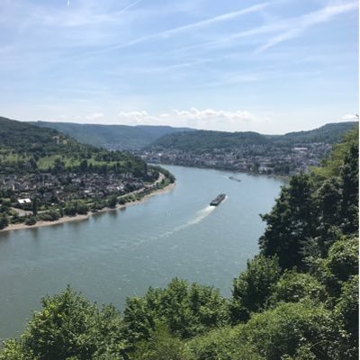 Profile Picture of Michael Halberstam (@mhalberst23) on Twitter