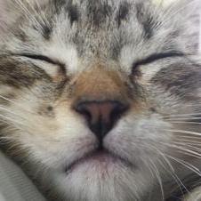 Profile Picture of Glen Turner (@glen_turner2002) on Twitter