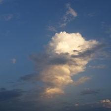 Profile Picture of Zack Lafleur (@62aced39220345e) on Twitter