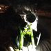 Profile Picture of Nathan Roeder (@nathan.roeder.7) on Facebook