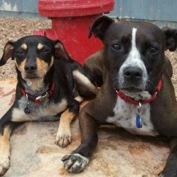 Profile Picture of Matt Gebauer (@LarryAnger666) on Twitter