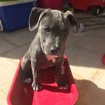 Profile Picture of Benjamin_lyons987 (@benjamin_lyons987) on Instagram
