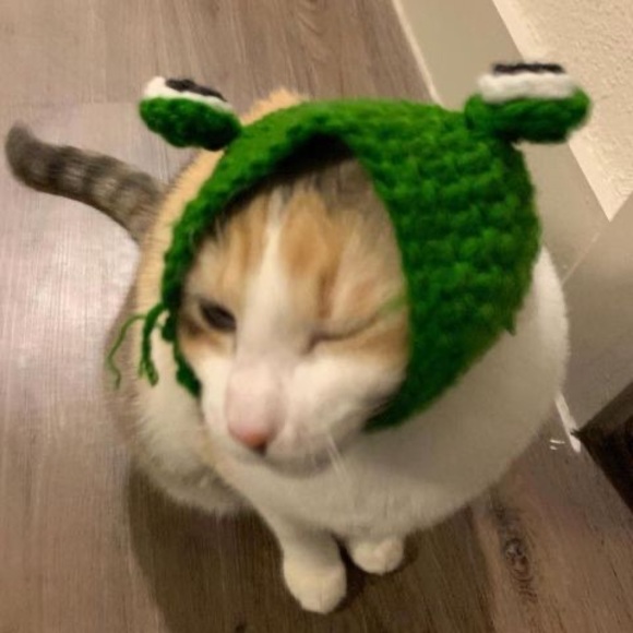 Profile Picture of Abbie Siebels (@abbiesiebels) on Poshmark