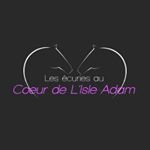 Profile Picture of Ecuriesaucoeurdelisleadam (@ecuriesaucoeurdelisleadam) on Instagram