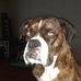 Profile Picture of Brian Cundiff (@brian.cundiff.562) on Facebook